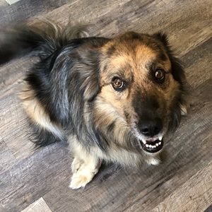 Meet your Posher, Stuart